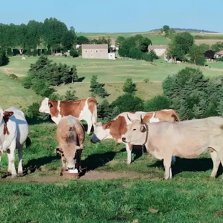 Le Mont De La Source Nocleg ze śniadaniem 3*