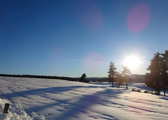 Le Mont De La Source Lafarre (Haute-Loire)