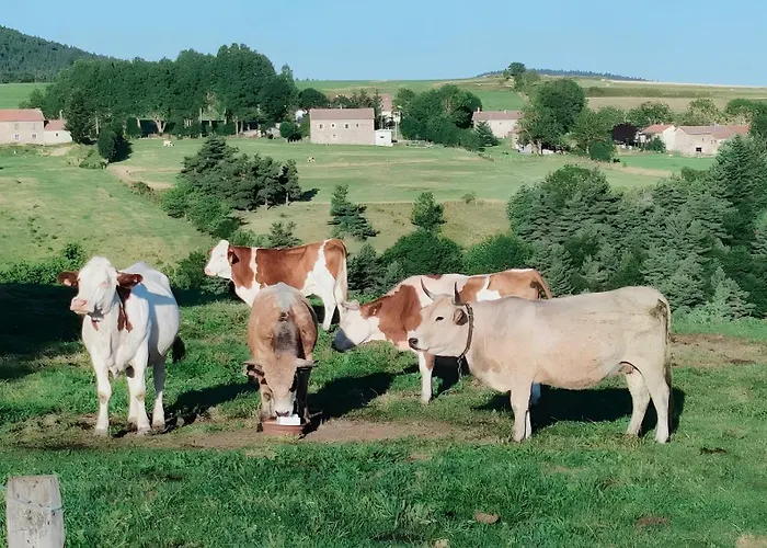 Le Mont De La Source Couette-café 3*