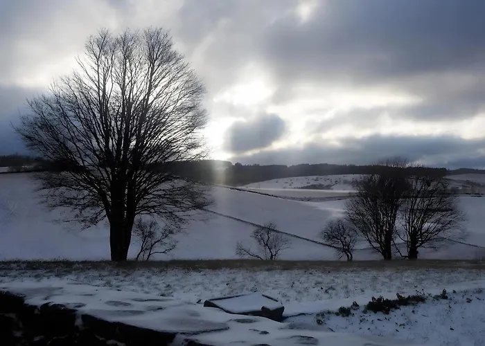 Couette-café Le Mont De La Source